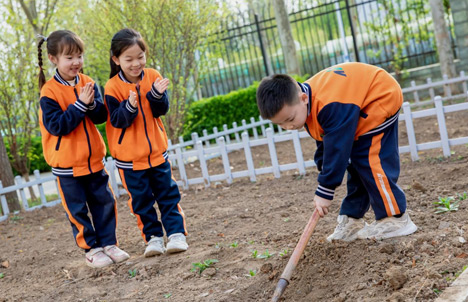 长城学校 长城学校